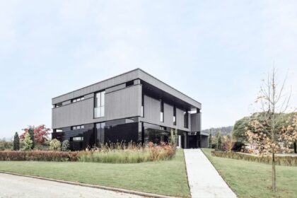 Griffner Porshe cooperare