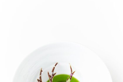 Restaurantul Geranium