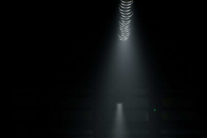 Cele mai recente Versace Show6