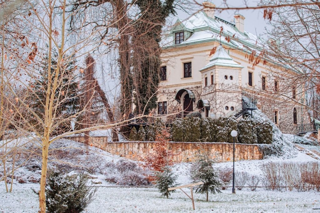 Palatul Odrowąż iarna