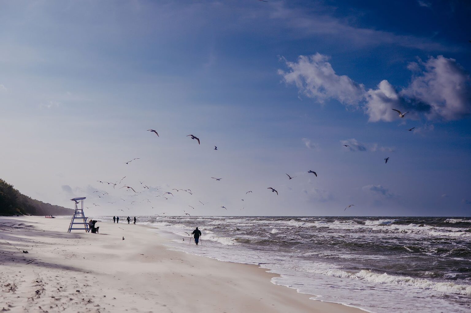 Plimbări de iarnă pe malul mării Linea Mare