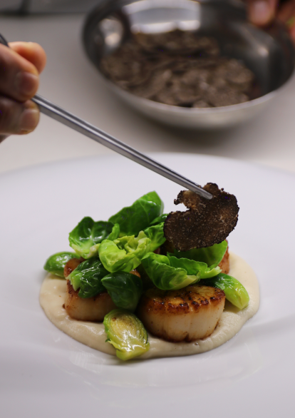 Proiect fără nume (4)