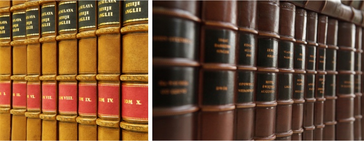 Biblioraft din piele