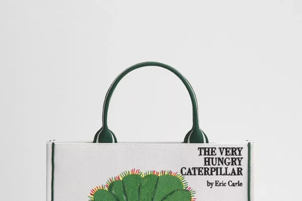 Dior Book Tote Când Cartea Devine Modă