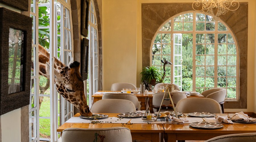 Top 5 Cele Mai Ciudate Hoteluri Din Lume7