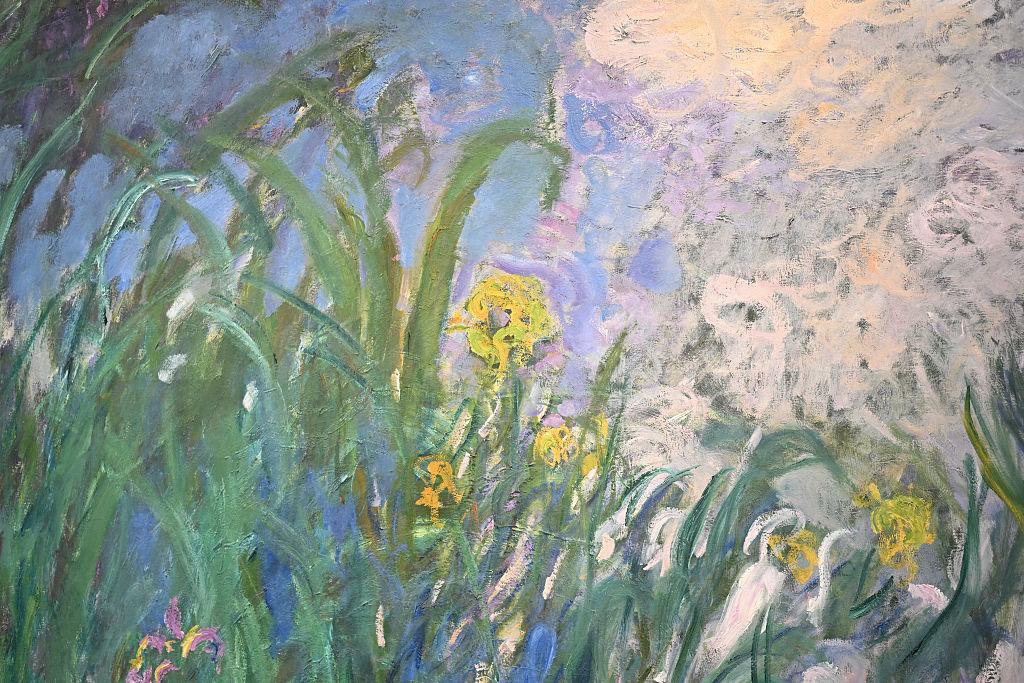 Monet Iriși